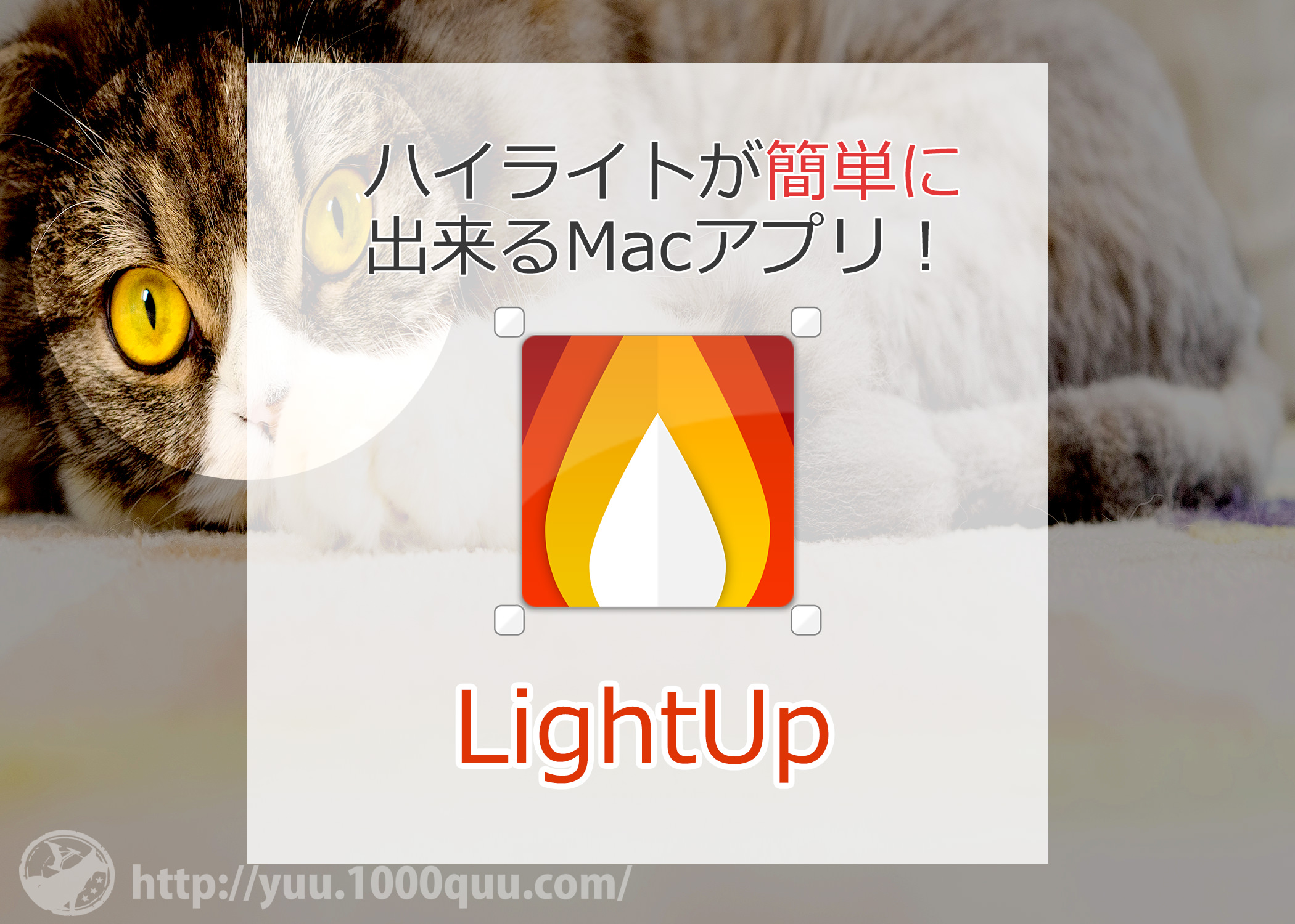 LightUpの紹介記事のアイキャッチ