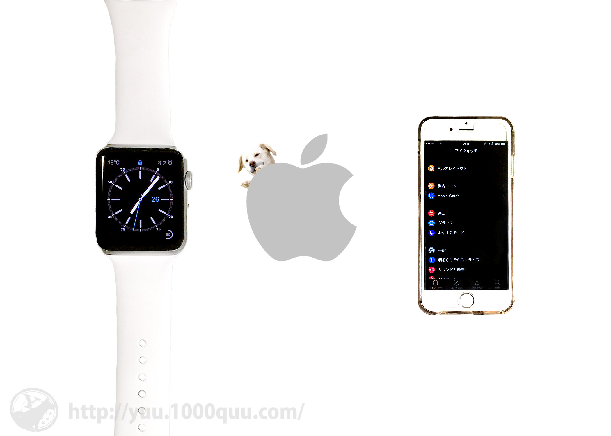 Apple Watchを2日使った感想のアイキャッチ画像